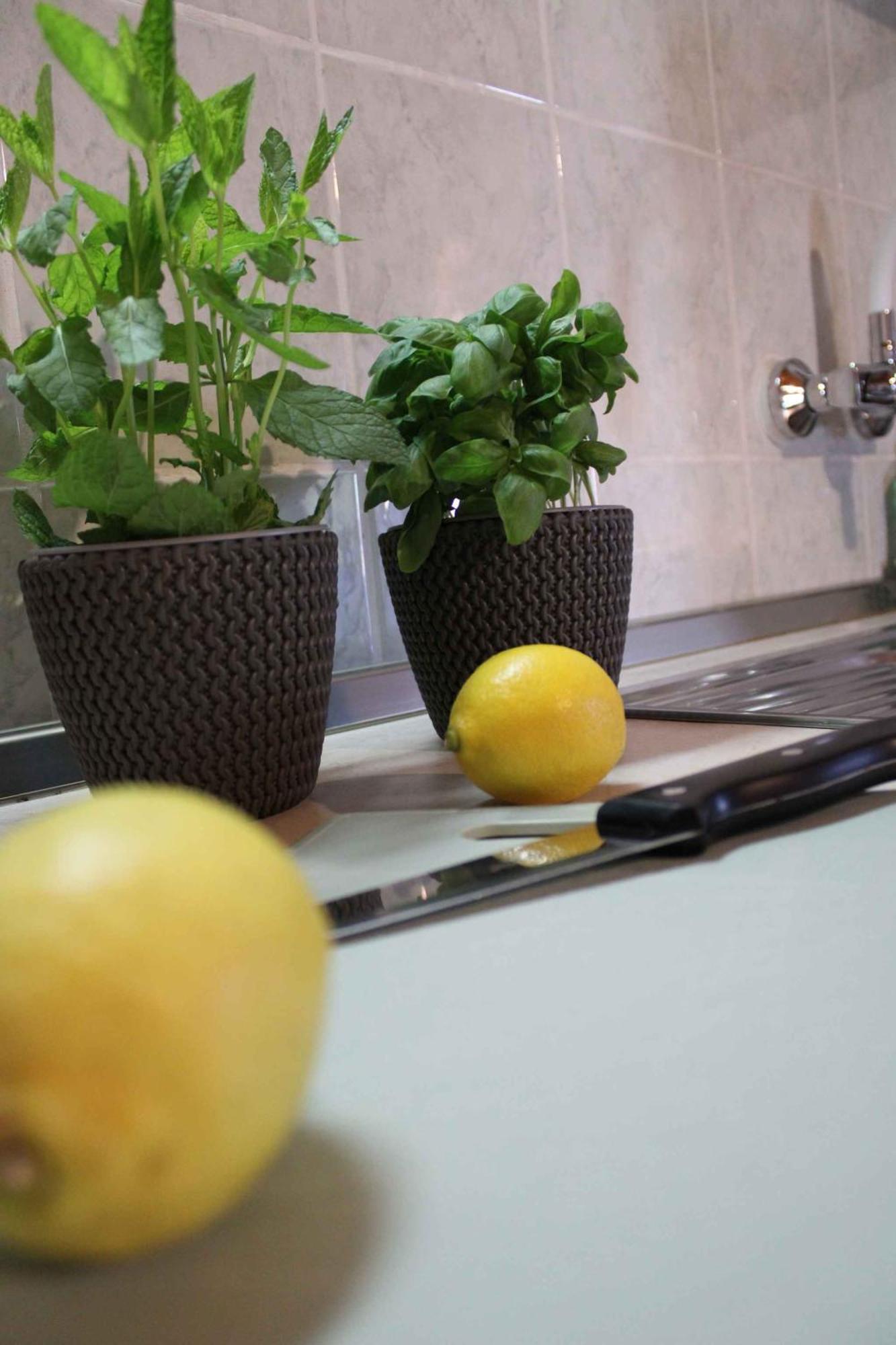 Apartment In Rovinj/istrien 11560